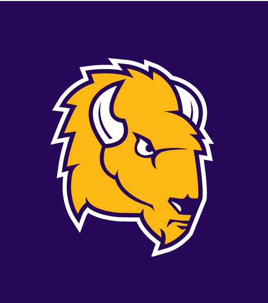 Lipscomb Bisons 2012-Pres Alternate Logo iron on transfers for T-shirts